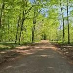 BIKE-VR Virtual Routes - Image 5